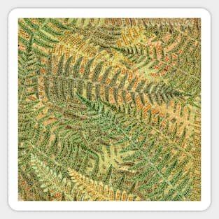 Bracken Sticker